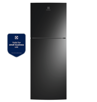 8.7 cu ft (245L) UltimateTaste 300 top freezer refrigerator